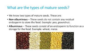 1. The Seed - PMLNC @PMLoveNatureClasses