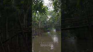 বক সাদা দুধ সাদা সাদা কাশফুল !! #shorts  #ytshorts #travelogueshahin #viralvideo #tranding  #folk