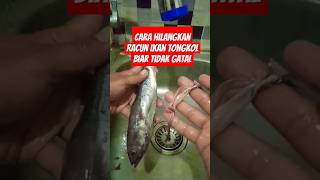 Cara Hilangkan Racun Ikan Tongkol#ayah#ibu #iburumahtangga#tongkol #ikantongkol #shorts#feed