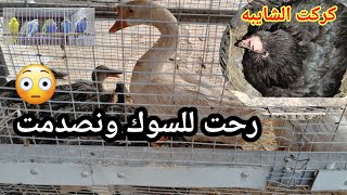 كركت الشايبه🐔صورت الطيور واشتريت للمحميه 🔥مفاجأه😍😍