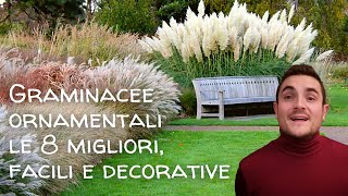 8 Graminacee ornamentali facili e decorative per il giardino🌾