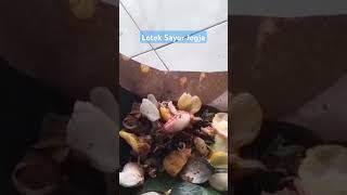 Lotek Sayur Jogja #lotek #loteksayur #lotekjogja #shorts