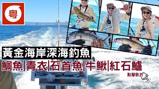 【船釣系列】の澳洲黃金海岸深海釣魚  鯛魚 | 青衣 | 石首魚 |  牛鰍 | 紅石鱸 etc {粵語旁白+中英文字幕}