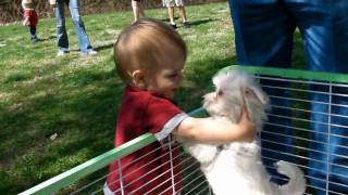 Halsey the Maltese and Soli the Cutiese