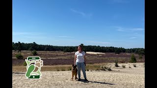 Losloopgebied Loonse en Drunense Duinen roestelberg