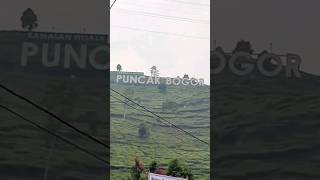 puncak bogor hari ini bikin geleng kepala #puncakbogor #wisatapuncakbogor