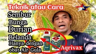 Cara sembur bunga Durian Belanda dgn obat air Gula Aqrivax agar bunga lekat, anti kulat dan Jamur.