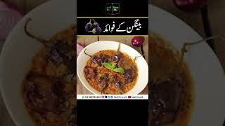 Baingan Eggplant Benefits | بینگن کے  فوائد | बैंगन के फायदे | Health TV Urdu Hindi