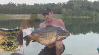 Carp expert 3