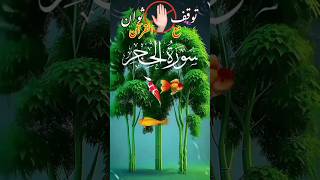 سورة الحجر_ وَلَقَدۡ نَعۡلَمُ أَنَّكَ یَضِیقُ صَدۡرُكَ  #القرآن_الكريم #القرآن #تلاوات_خاشعة #قرآن