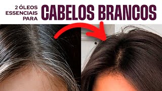 Óleo Essencial ESCURECE CABELO? Melhores Óleos Essenciais para cuidar dos cabelos brancos