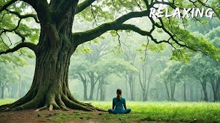 rainy day 🌧️ Lonely Girl Finds Peace in Rainy Forest relaxing music 🎶