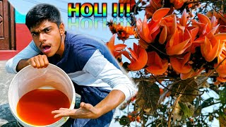 The Ultimate Guide to Making Natural Holi Colours at Home !!