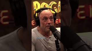 Joe & Adam Talk About The Keys to Success | Adam Sandler on JRE