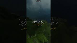 { وَنُنَزِّلُ مِنَ ٱلۡقُرۡءَانِ مَا هُوَ شِفَاۤءࣱ وَرَحۡمَةࣱ لِّلۡمُؤۡمِنِینَ.. القارئ فارس عباد ❤️