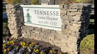 Tennessee Equine Hospital