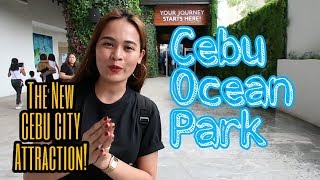 CEBU OCEAN PARK | THE LARGEST OCEANARIUM!