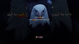 هیڅ رقیب نه لری که په ځان دی بارو وه #shorts