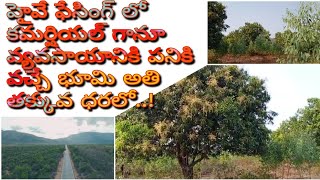 land for sale commercial land for sale fruit Garden land for sale Nellore district land