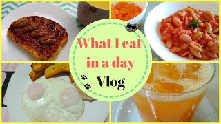 WHAT I EAT IN A DAY - RIMETTIAMOCI A DIETA! | Vlog - SugarDany