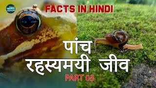 Mysterious World in Hindi | दुनिया के पांच रहस्यमयी जीव - Part 03