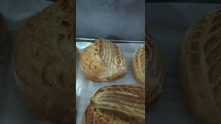 Hyderabad's most authentic Sourdough Bread @SamyarasDen