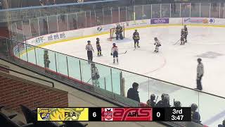 U13A Flamborough Sabres VS Arlington Capitals Port Huron Tournament Game 2