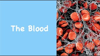 The Blood [GCSE BIOLOGY]