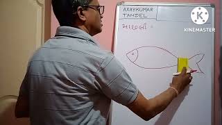 Chitrakam | machhali nu chitra | art fish | fish drawing | easy art |  kids art | axaykumar tandel