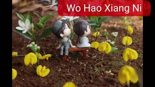 Lagu mandarin sedih - Wo Hao Xiang Ni cover video