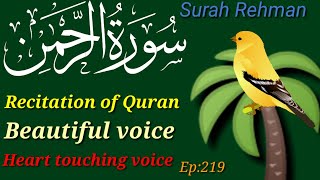 Surah Rahman | Ep -sr 219 By Qari Abdul waris | سورہ الرحمٰن55 | Beautiful Recitation |