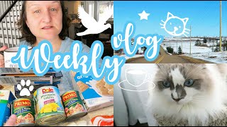 Weekly Vlog | Haul, Hot Chocolate & Biopsy