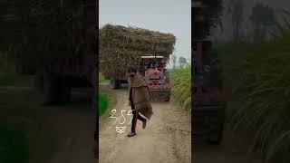 Messay Farguson 385 Dangerous Stunt Heavy Loaded Trolley //Tractor Info