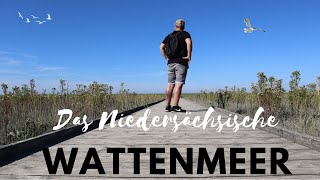 DAS NIEDERSÄCHSISCHE WATTENMEER | Und wieder sagen wir auf Wiedersehen FED'SIEL #vanlife