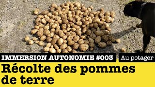 Immersion Autonomie : Récolte des pommes de terre (juillet 2021) - partie 1/3