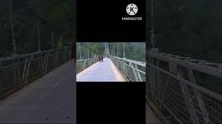 Asia Second highest Suspension bridge || West Sikkim || Dentam Uttarey