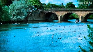 The River Severn Worcester Uk - Scenic River Cruise