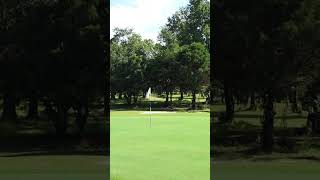 When you almost miss the shot but almost make the shot #golf #golftips #golfhelp #golfswing