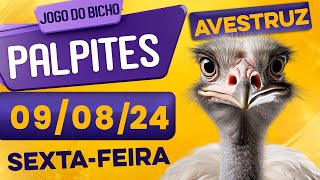 PALPITE DO DIA 09/08/2024 - JOGO DO BICHO 🍀 TODAS AS LOTERIAS 🍀