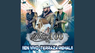 ALFREDO BELTRAN (feat. REY FERNANDEZ) (En vivo)