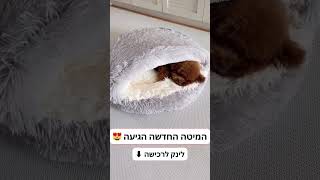 sleepy fluffy™- יוצרים נוחות ביתית לחיית המחמד שלך! #funnyanimals #petcare #loveyourpet