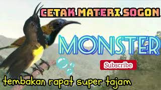 cetak materi sogon muda agar jadi monster gantangan