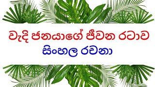 වැදි ජනයාගේ ජීවන රටාව - සිංහල රචනා.