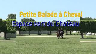 Le #Château de #Chambord, #Potager et #Cavaliers