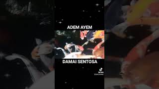 adem ayem damai sentosa #2