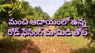 మామిడి తోట మూడు బోర్లతో తక్కువ ధరలో