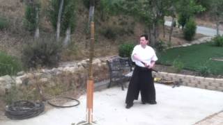 Kenjutsu Training 5/13/2013  2/3