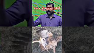 बाज 🦅 भी डरता हैं इस पक्षी से 😱 | Khan GS Research Centre | #khansir #khansirofficial #trending #baj