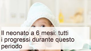 Il neonato a 6 mesi: tutti i progressi durante questo periodo