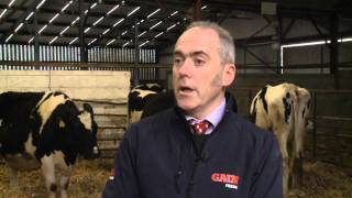 Glanbia Agribusiness GAIN Dairy Feeds - Overview by Chris Miller